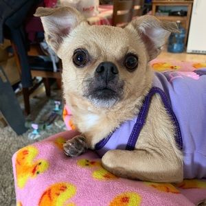 Meet your Posher, Anabel